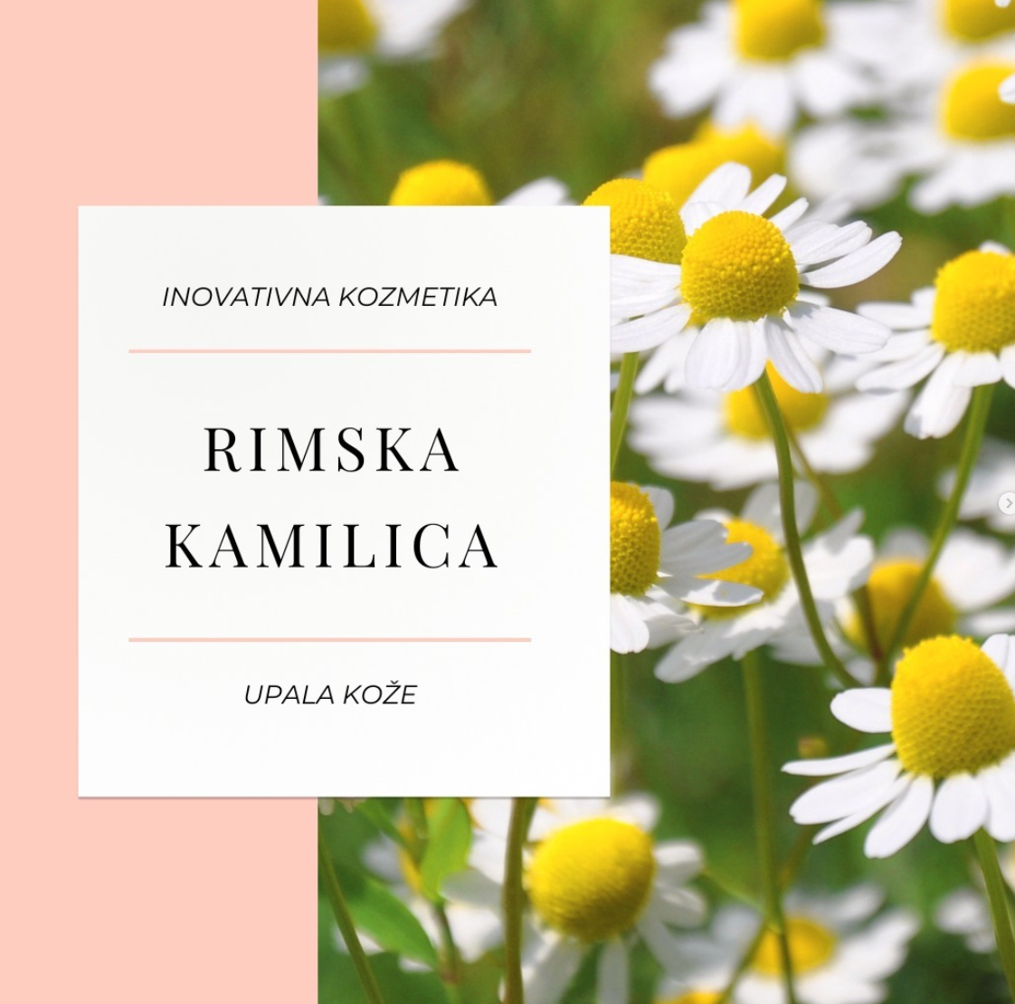 EdenLab — primer posta